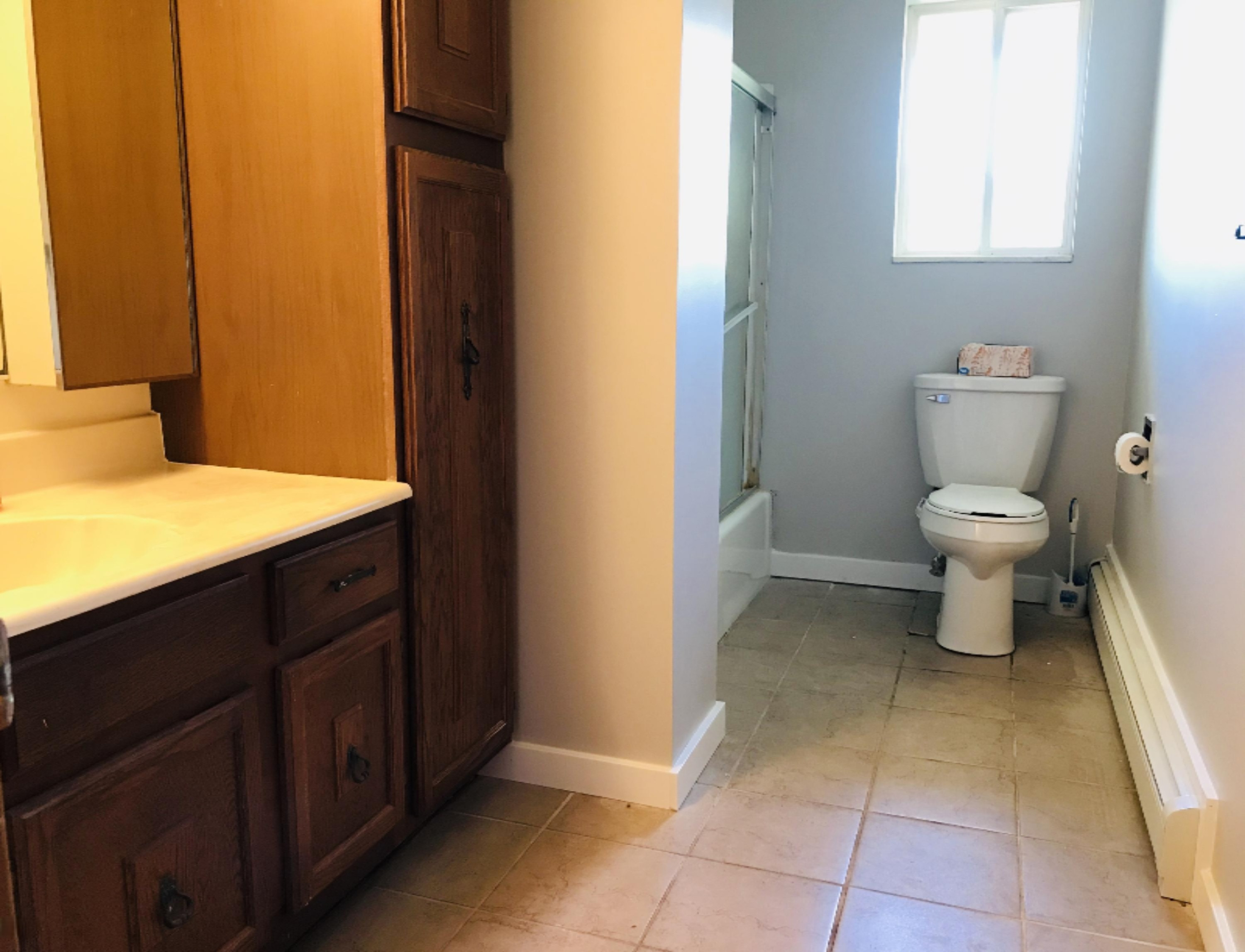 4804 East River Road Buchanan, MI 49107 - Photo 15 of 29 Bath