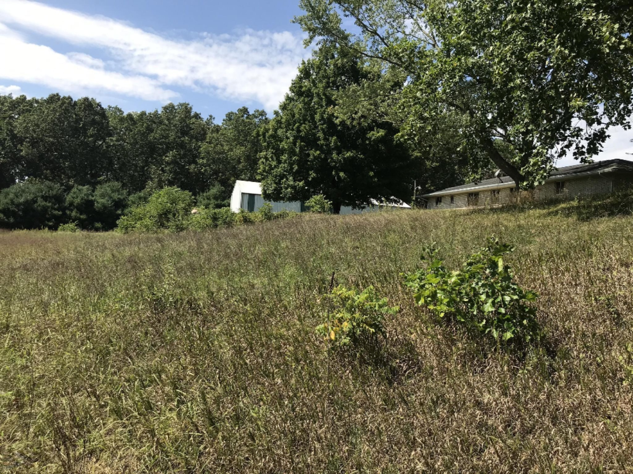 4804 East River Road Buchanan, MI 49107 - Photo 25 of 29 Acreage