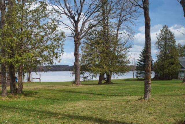 Parrotts Point Road Indian River, MI 49749 - Photo 24 of 25 Gallery Image 24