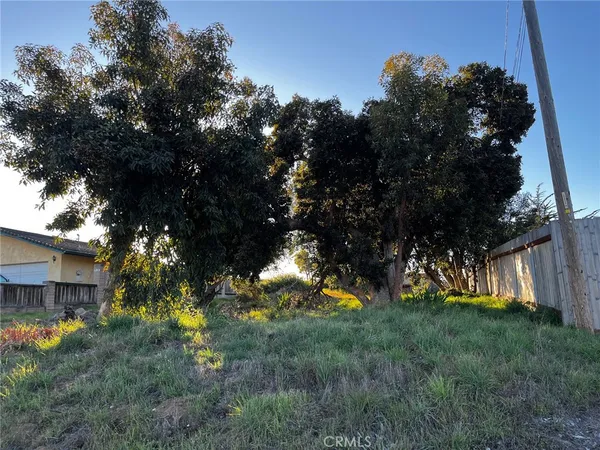 a view of a yard