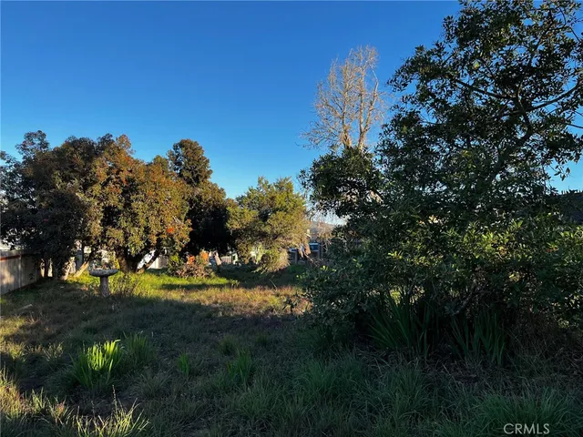 a view of a big yard with lots of green space and mountain view in back