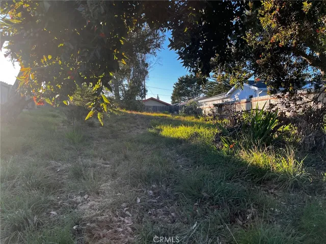 a view of a tree in a yard