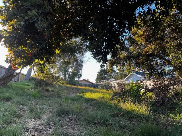 a view of a tree in a yard