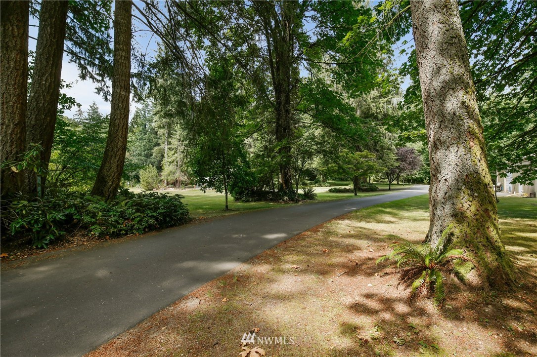 20830 Southeast 145th Street Renton, WA 98059 - Photo 39 of 39 a view of a yard with a trees