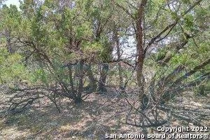 a view of a large yard with lots of green space