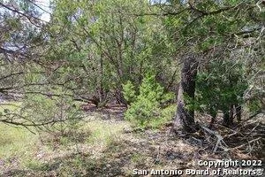a view of a city street from a bench