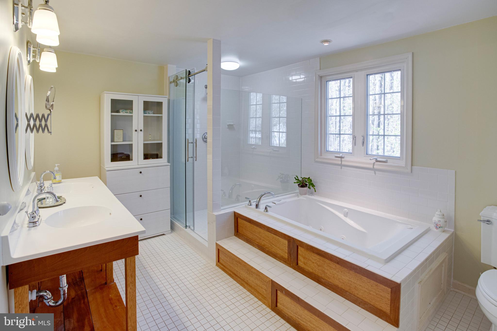 11946 Appling Valley Road Fairfax, VA 22030 - Photo 27 of 58 Primary jacuzzi bath, two sinks, separate shower