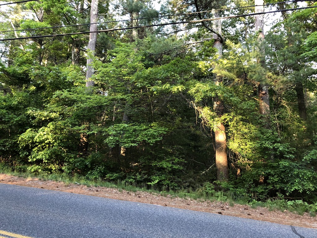 46 East Howland Road Freetown, MA 02717 - Photo 3 of 3 a view of a garden