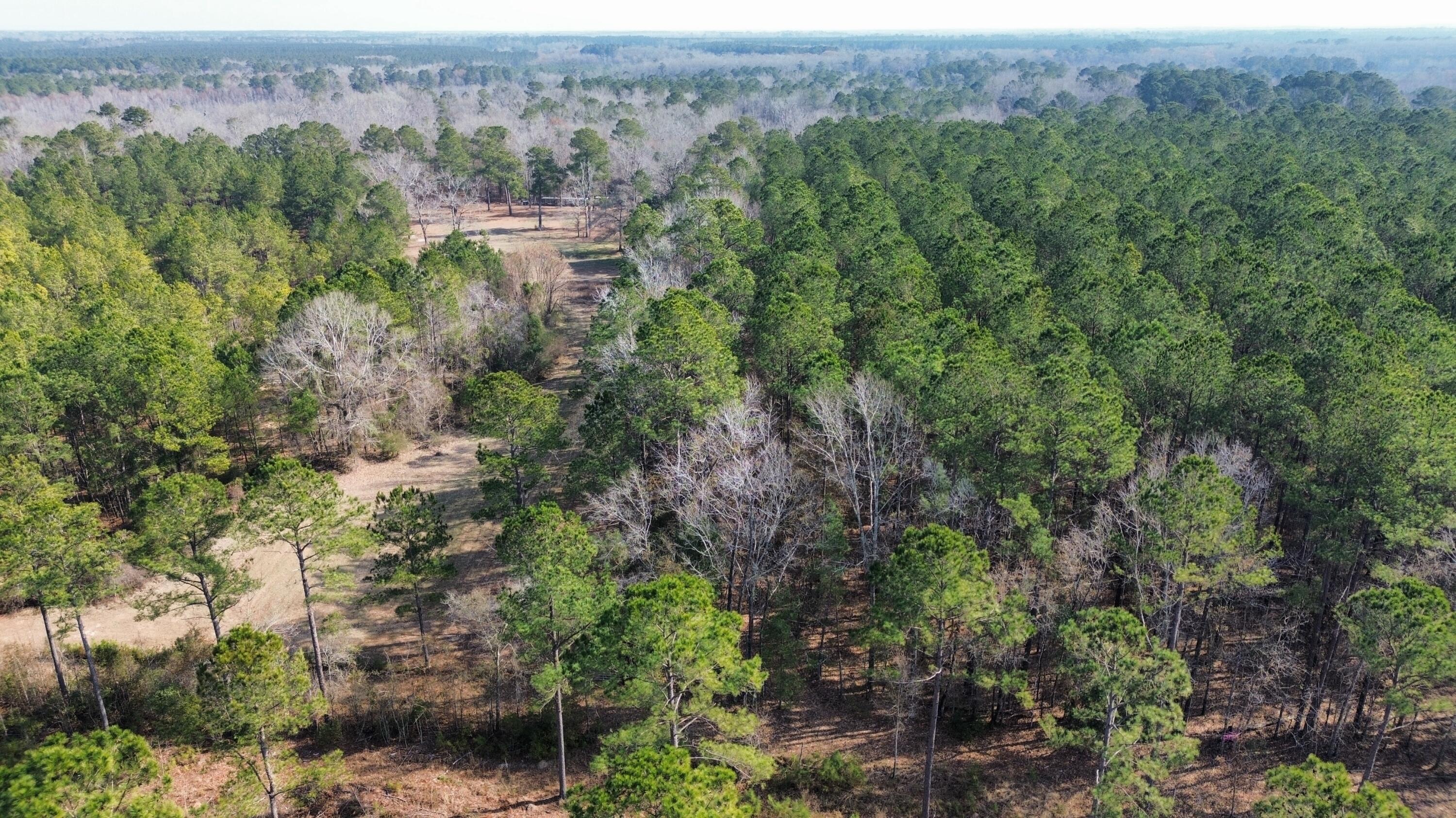 1647 Smoak Road Walterboro, SC 29488 - Photo 26 of 39 dji_fly_20250205_111510_72_1738772123175