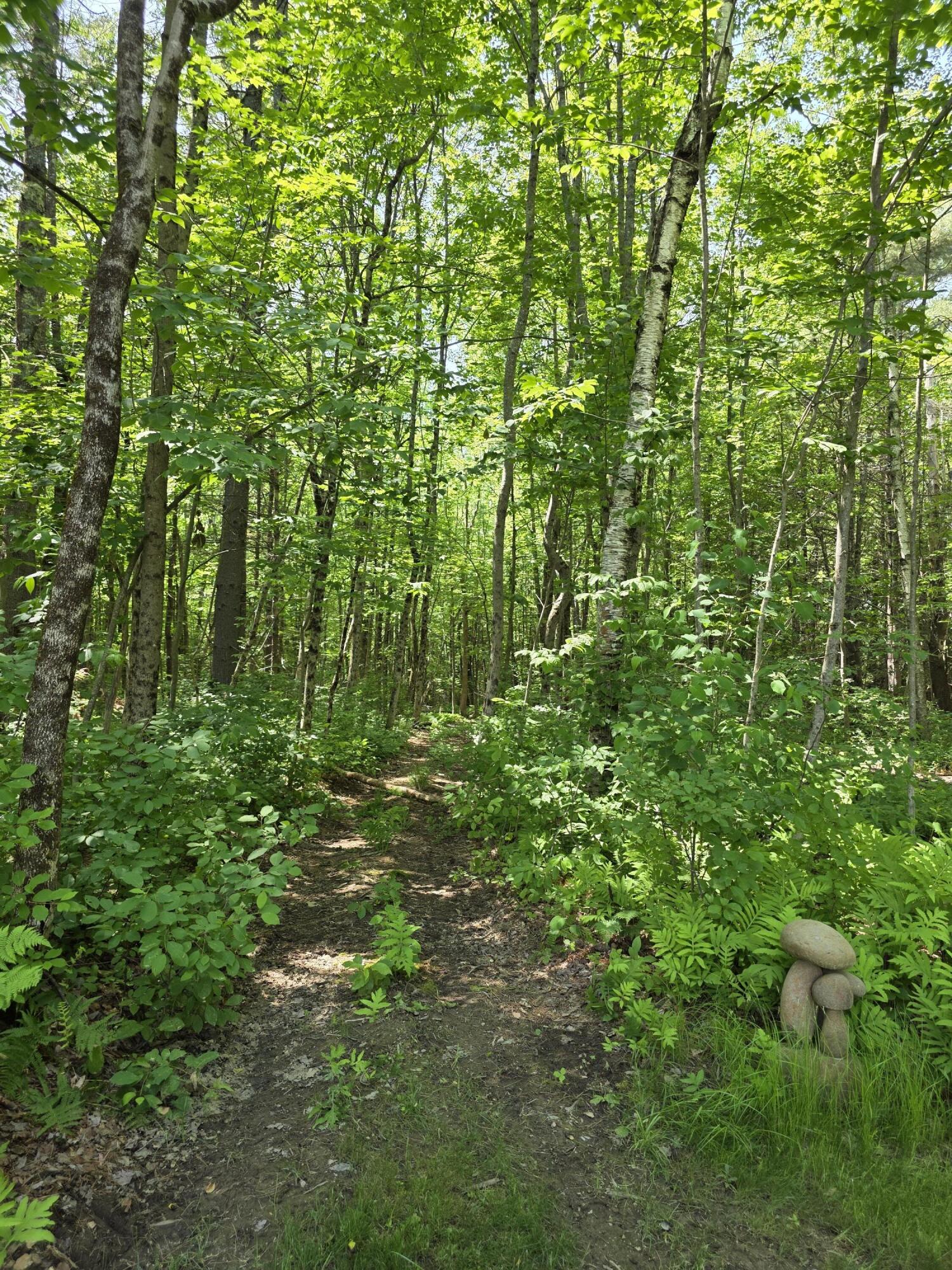 1288 Litchfield Road Bowdoin, ME 04287 - Photo 11 of 55