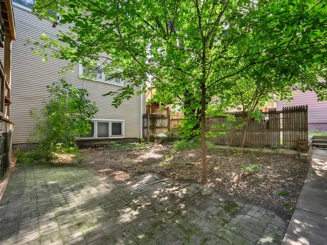 a view of a backyard with large trees and plants