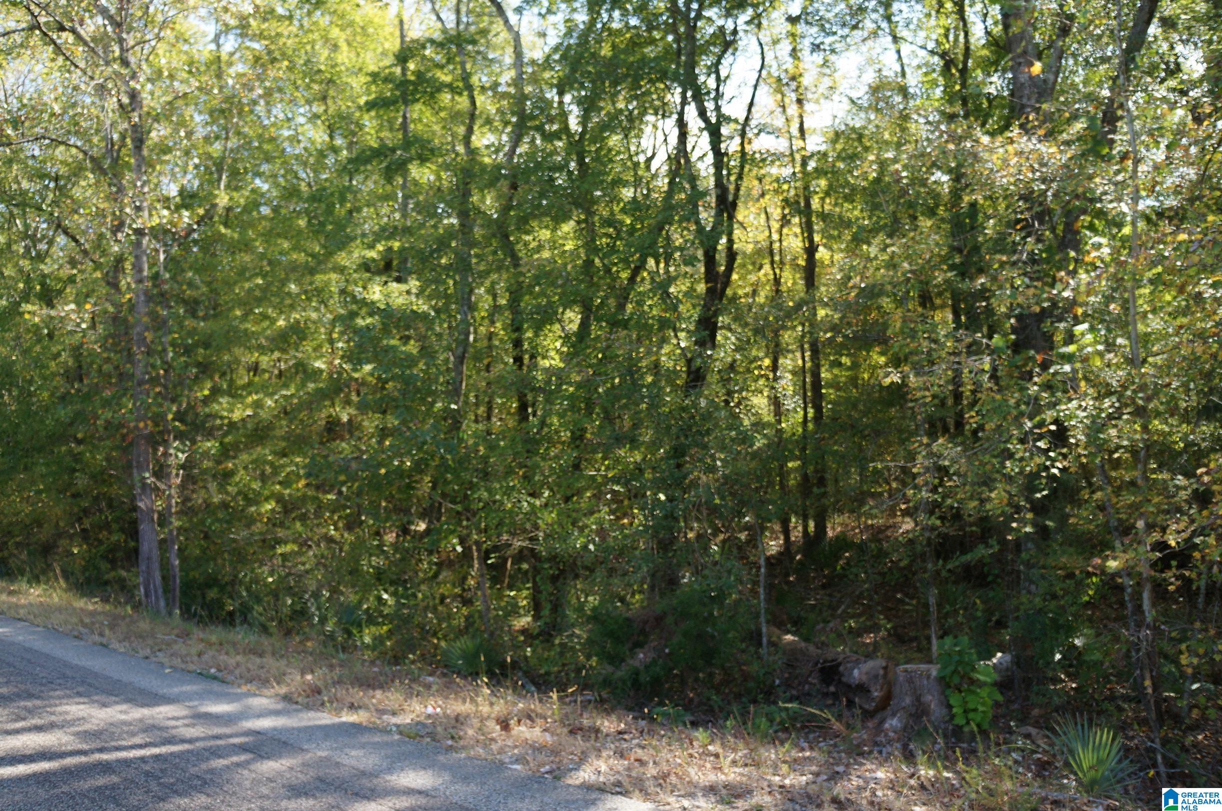 0 Old Fayetteville Road Sylacauga, AL 35151 - Photo 7 of 10