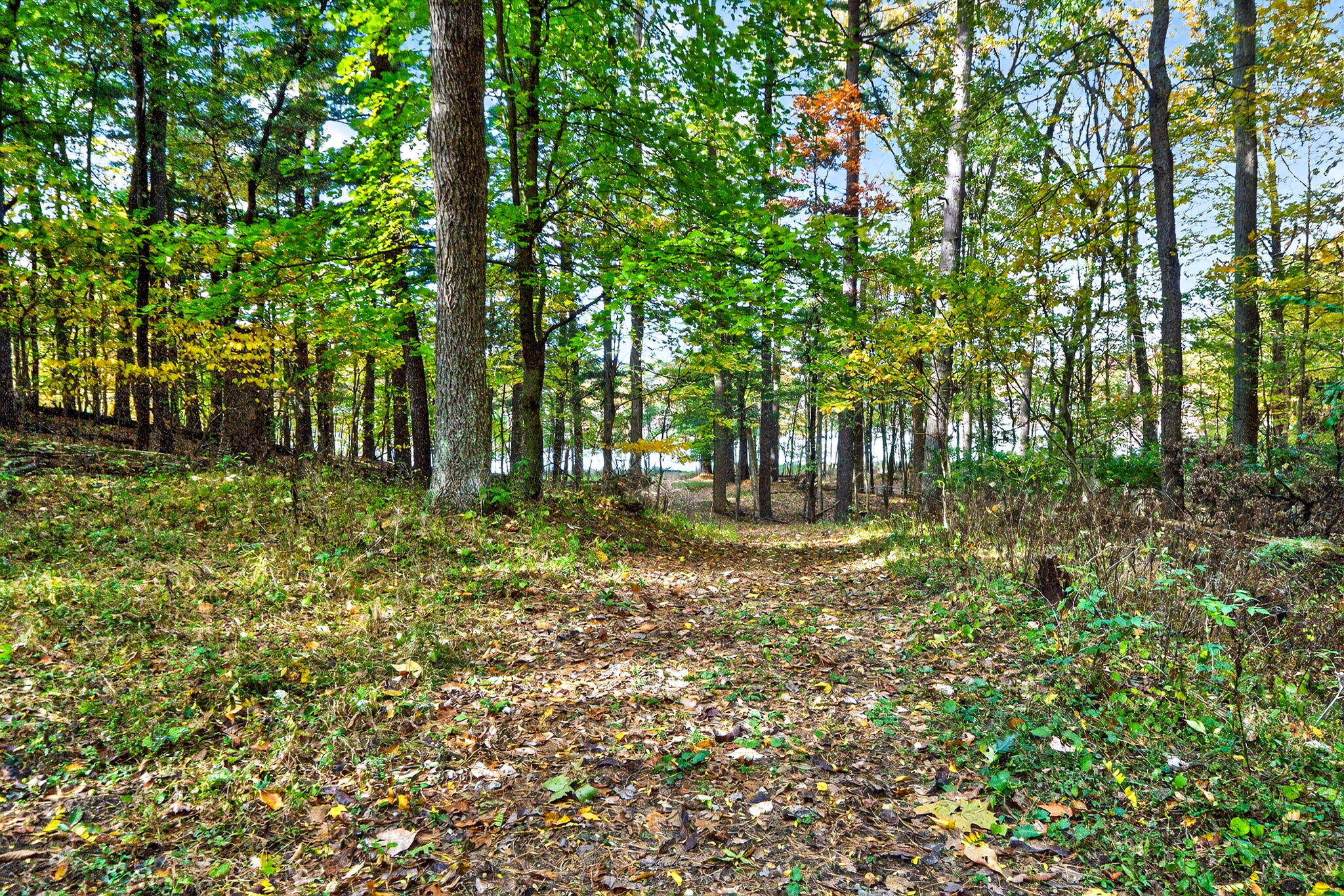 66561 Conrad Road Edwardsburg, MI 49112 - Photo 11 of 37 Yankee St-20