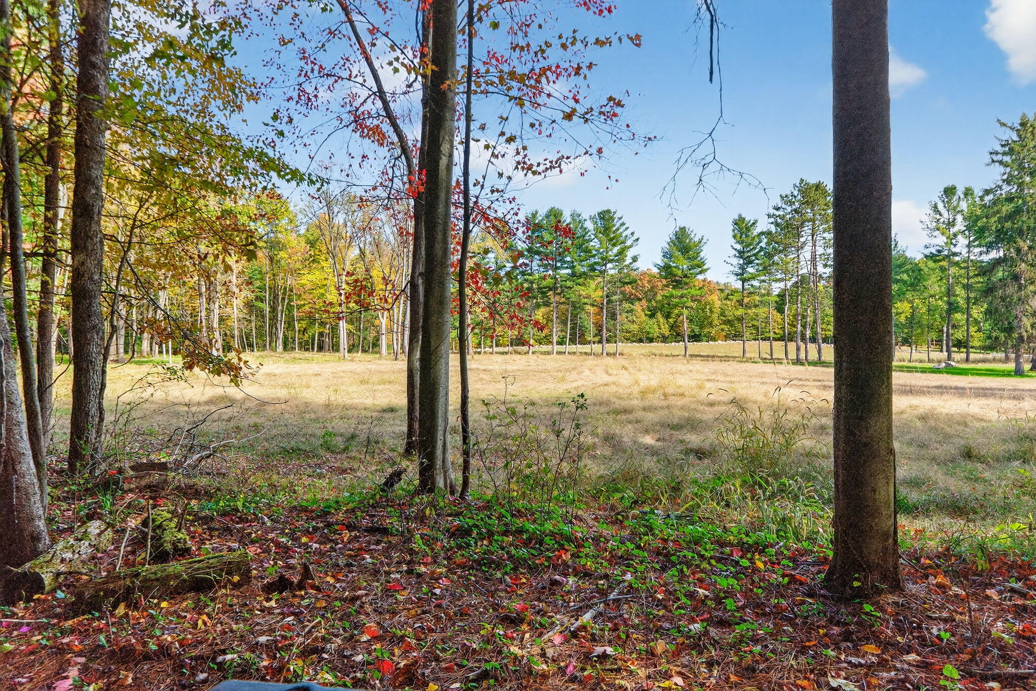 66561 Conrad Road Edwardsburg, MI 49112 - Photo 14 of 37 Yankee St-28