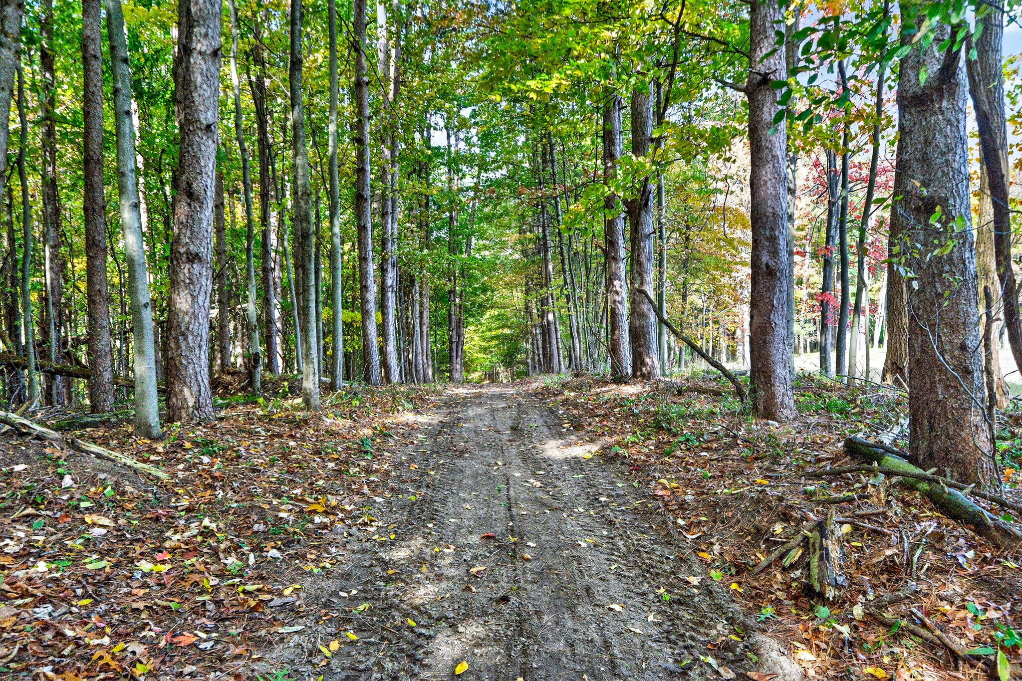 66561 Conrad Road Edwardsburg, MI 49112 - Photo 15 of 37 Yankee St-29