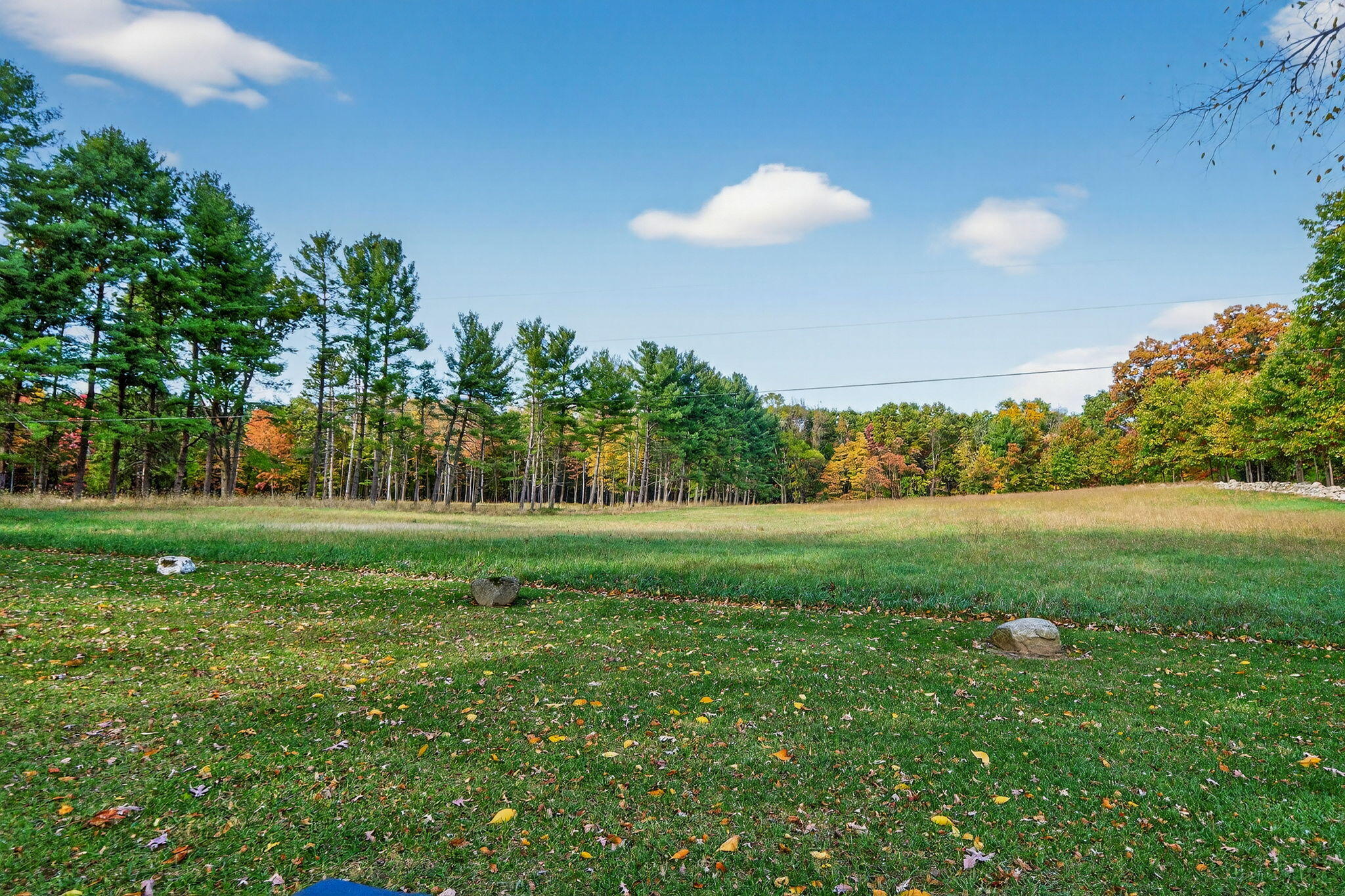 66561 Conrad Road Edwardsburg, MI 49112 - Photo 18 of 37 Yankee St-57