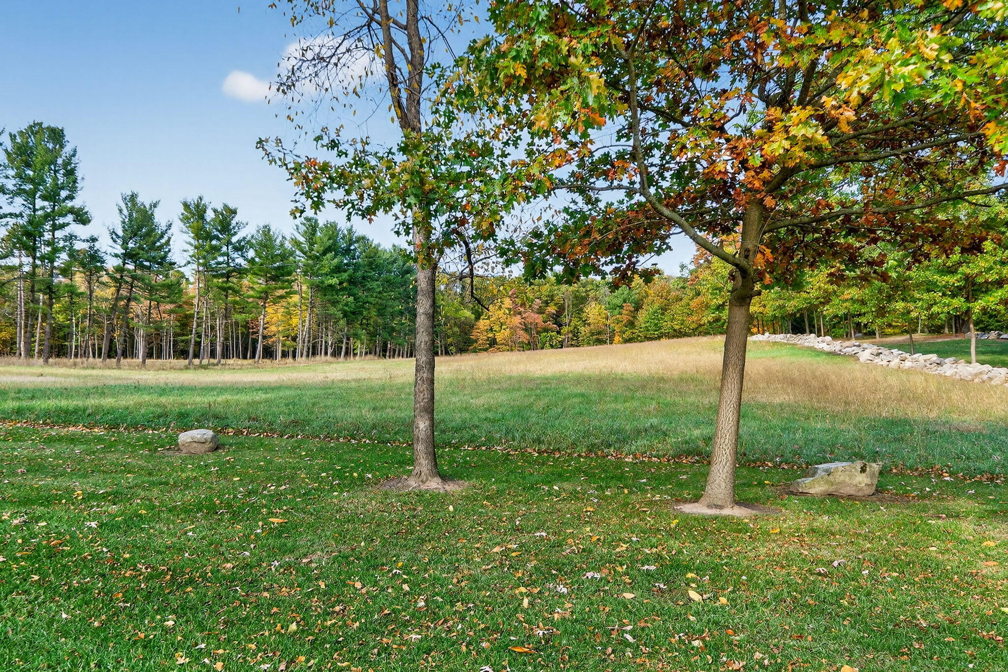 66561 Conrad Road Edwardsburg, MI 49112 - Photo 19 of 37 Yankee St-58