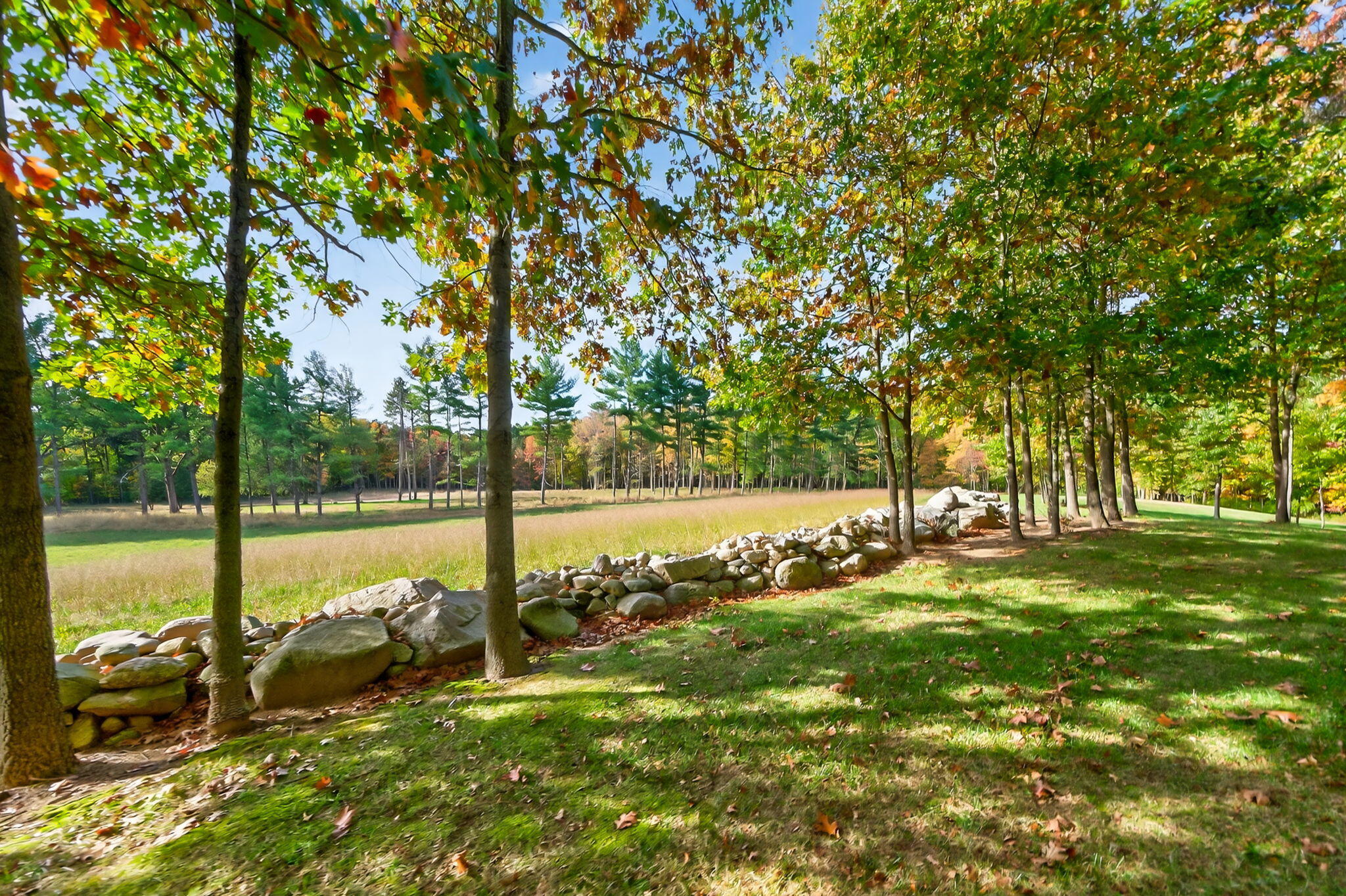 66561 Conrad Road Edwardsburg, MI 49112 - Photo 23 of 37 Yankee St-98