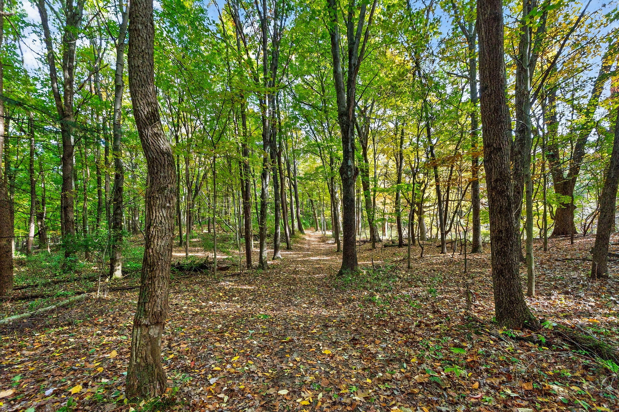 66561 Conrad Road Edwardsburg, MI 49112 - Photo 6 of 37 Yankee St-5