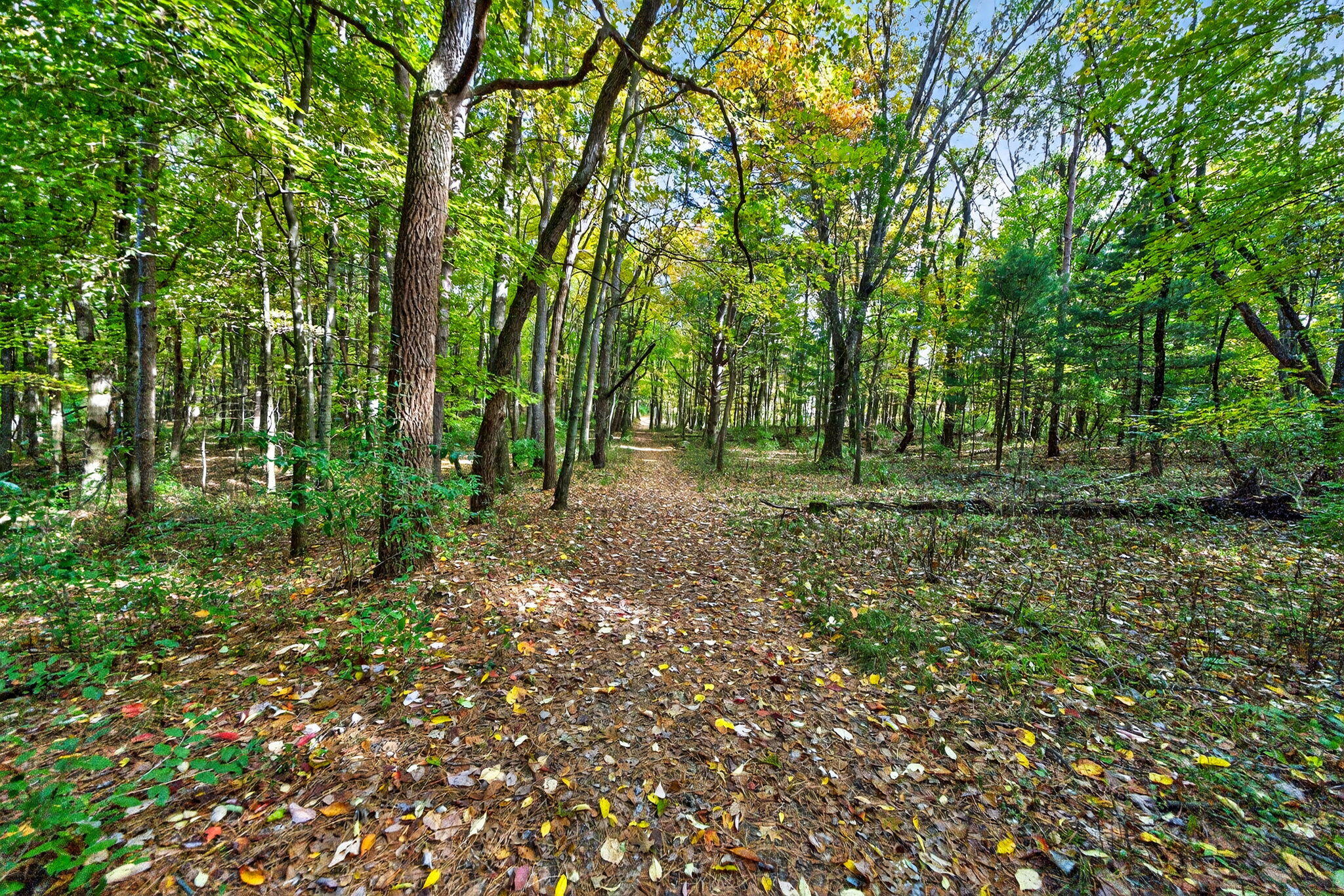 66561 Conrad Road Edwardsburg, MI 49112 - Photo 8 of 37 Yankee St-7