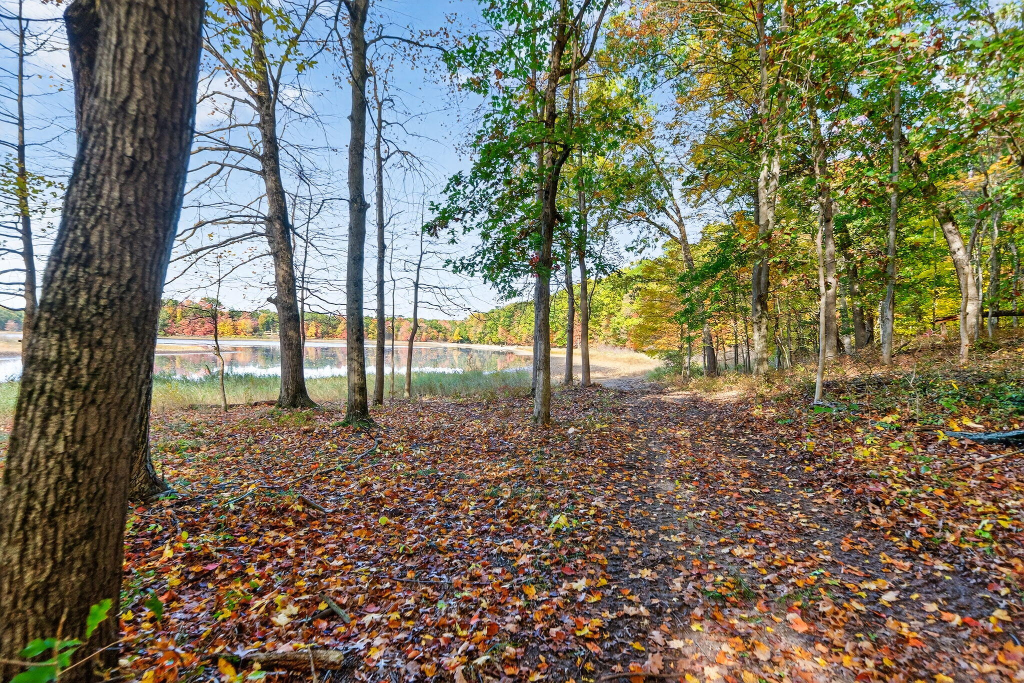 66561 Conrad Road Edwardsburg, MI 49112 - Photo 10 of 37 Yankee St-14