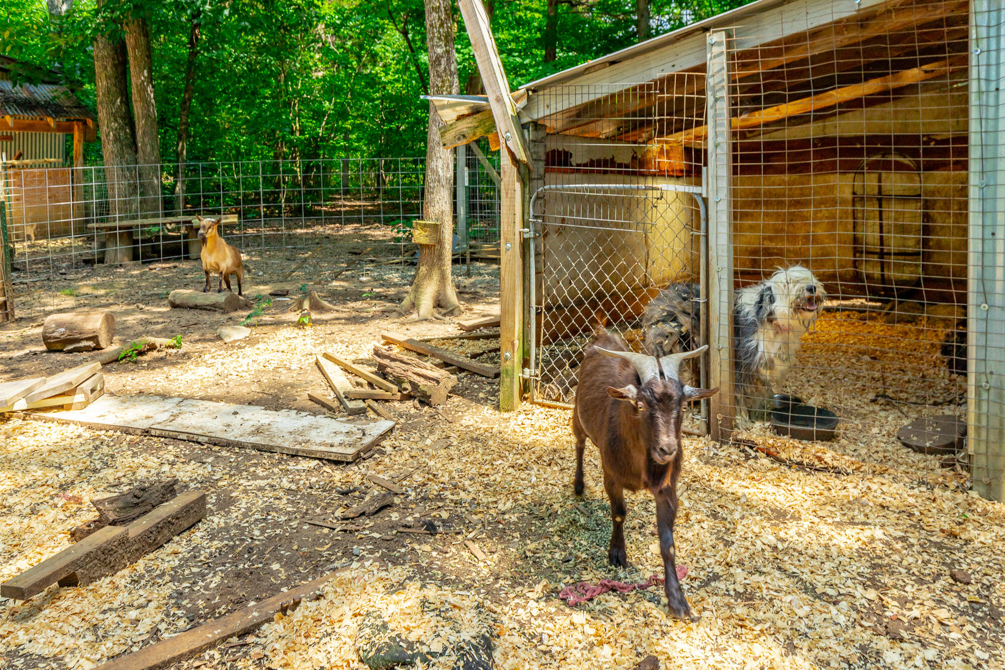 7636 Ooltewah Georgetown Road Ooltewah, TN 37363 - Photo 105 of 180 7636 Ooltewah Georgetown Road HD-21