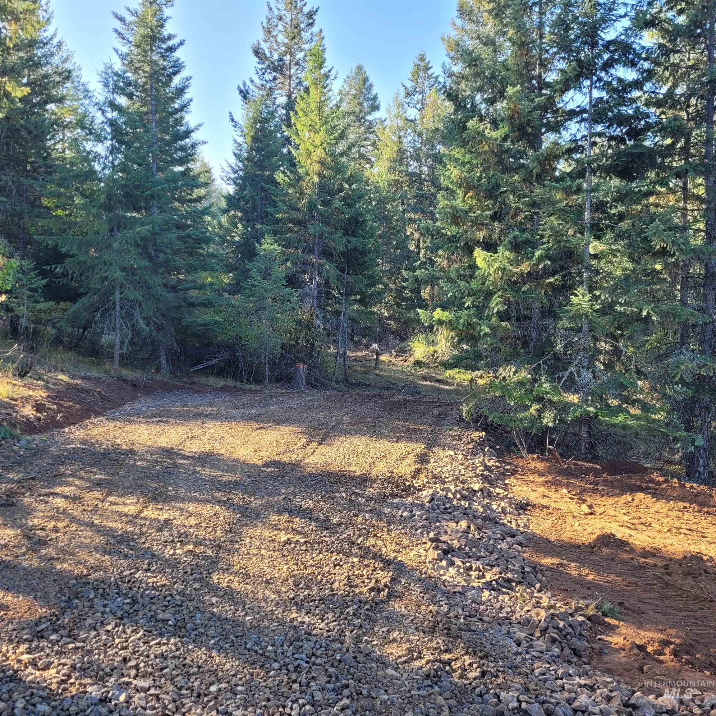 Parcel A Elk City Wagon Road Stites, ID 83552 - Photo 1 of 10