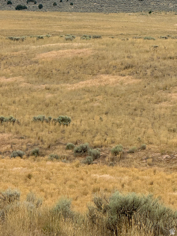 25 Old Dam Road, Unit 25 Levan, UT 84639 - Photo 7 of 10
