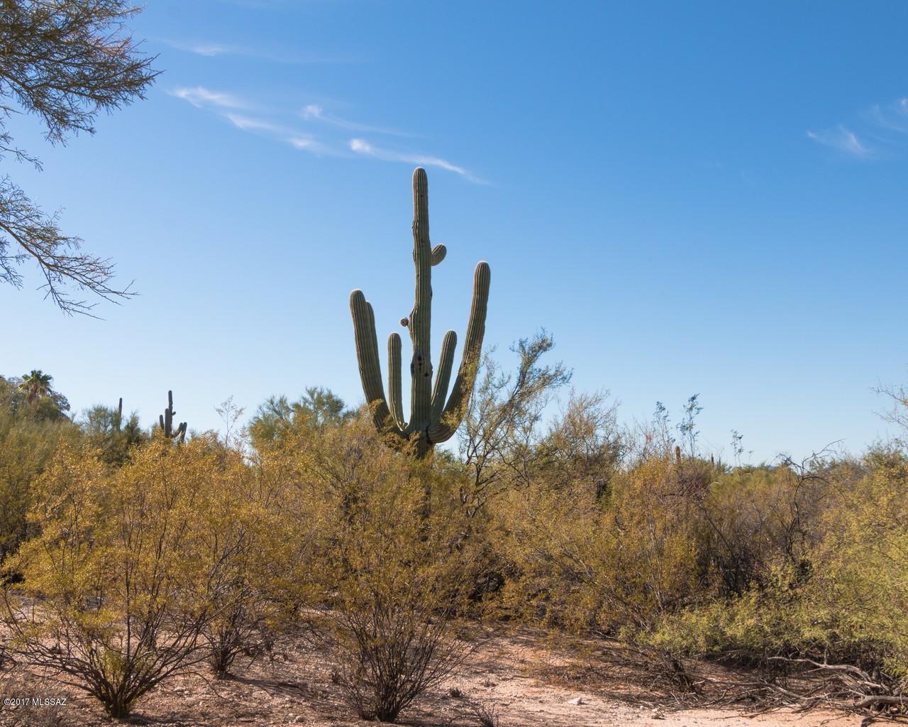 794 West Panorama Road Tucson, AZ 85704 - Photo 5 of 9 Gallery Image 5