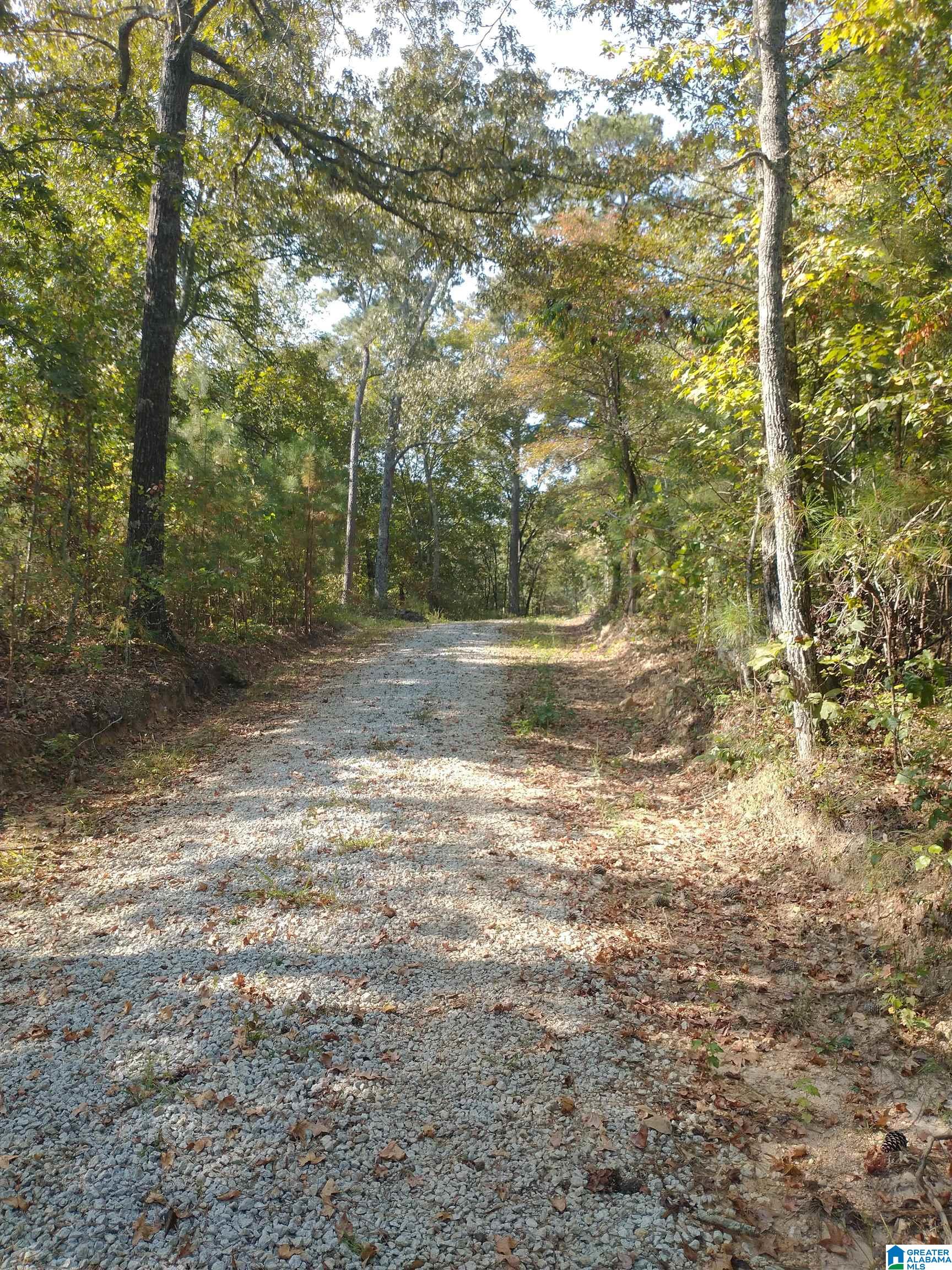 8100 Mckesie Street, Unit 81 ACRES Riverside, AL 35135 - Photo 13 of 18