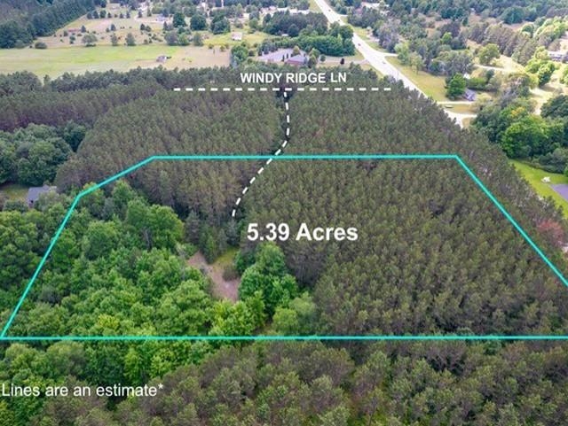 V/l V/l Windy Ridge Beulah, MI 49617 - Photo 1 of 20