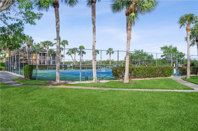 a view of a park with a palm tree