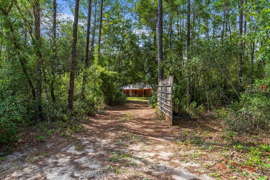 24607 Polar Bear Road Paisley, FL 32767 - Photo 7 of 47