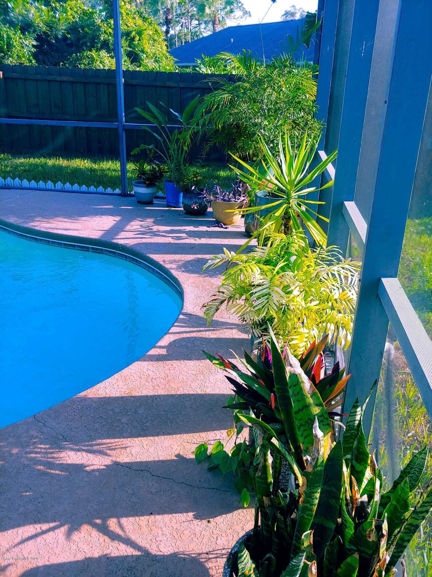 6791 Hartford Road Cocoa, FL 32927 - Photo 8 of 43 a view of a yard with plants