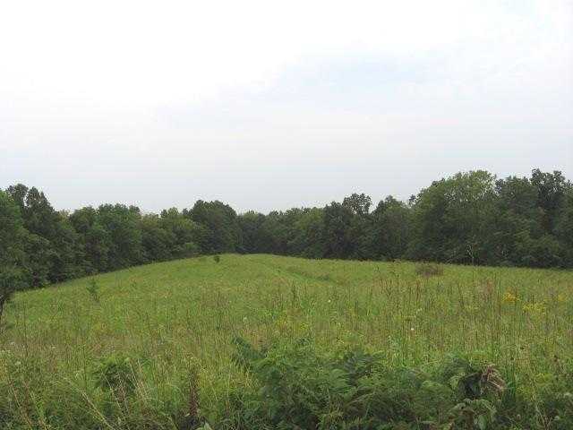 0 Maysville-Greendale Road, Unit LOT 2 Logan, OH 43138 - Photo 1 of 3