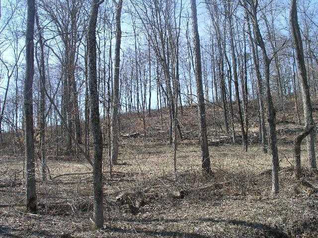 0 Maysville-Greendale Road, Unit LOT 2 Logan, OH 43138 - Photo 2 of 3
