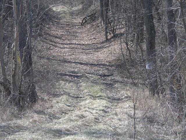 0 Maysville-Greendale Road, Unit LOT 2 Logan, OH 43138 - Photo 3 of 3