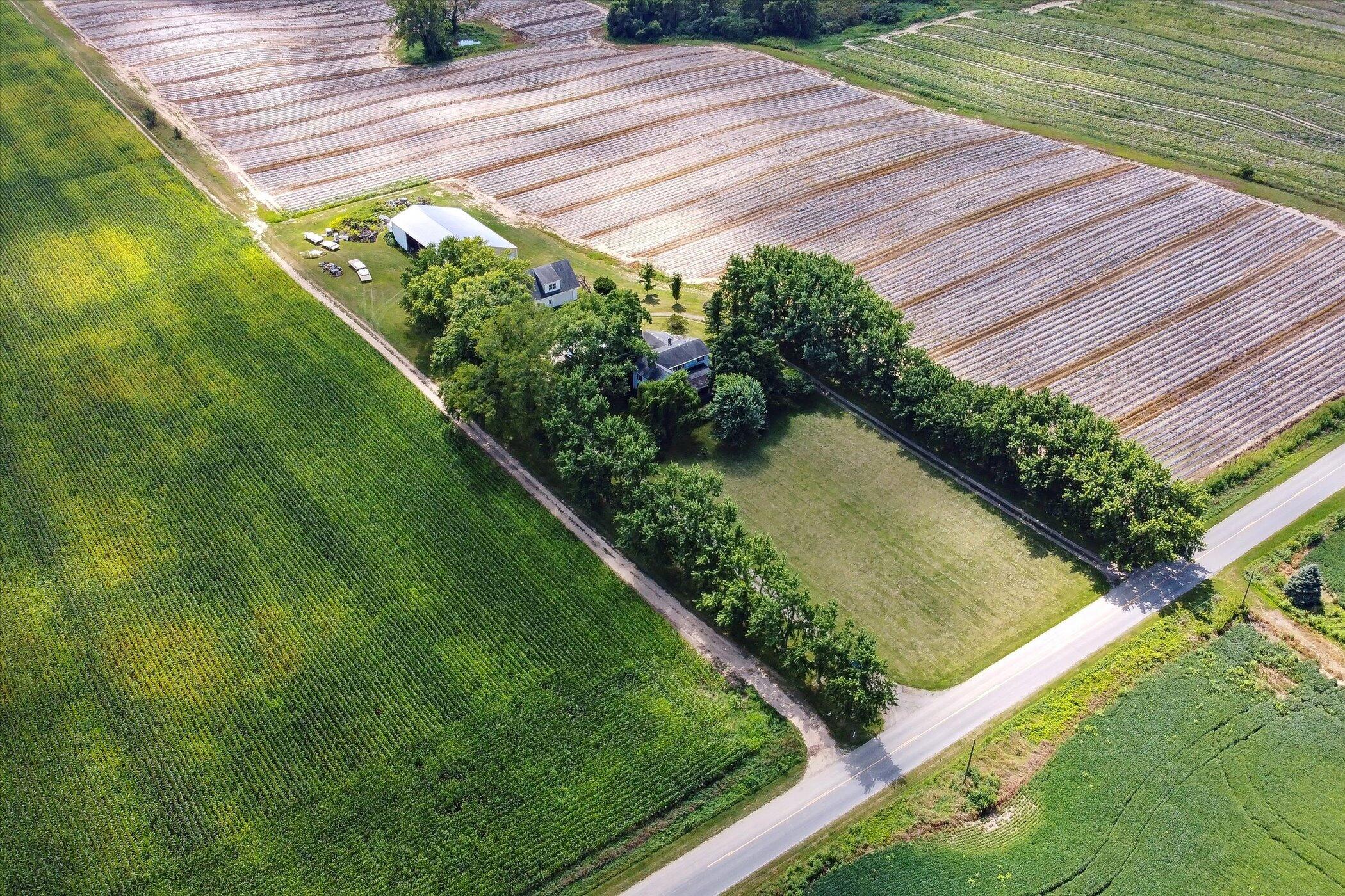 75-acres Maple Grove Road Berrien Center, MI 49102 - Photo 5 of 8 58-6982