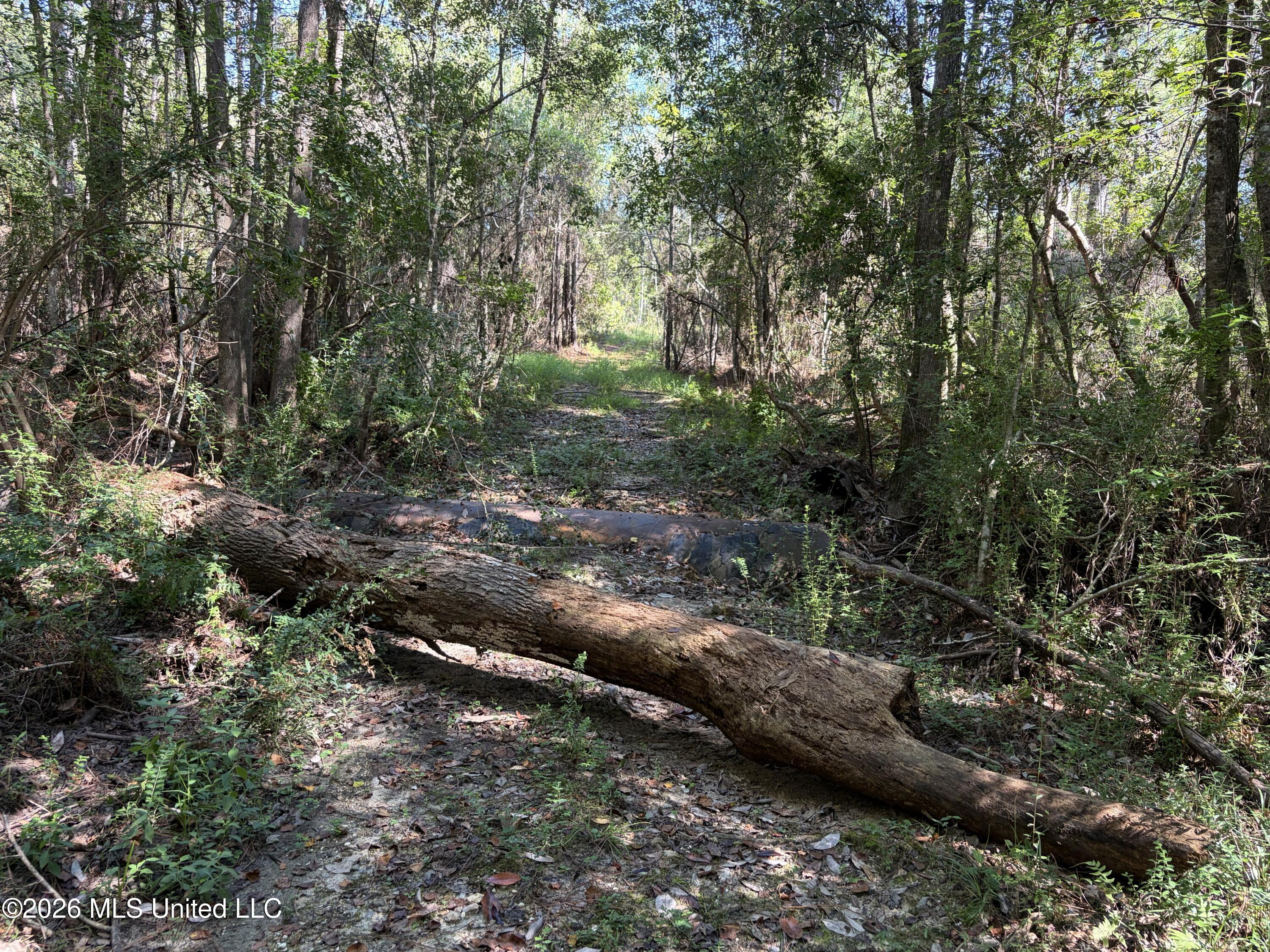 Rayford Shumock Road Moss Point, MS 39562 - Photo 7 of 40 IMG_4499