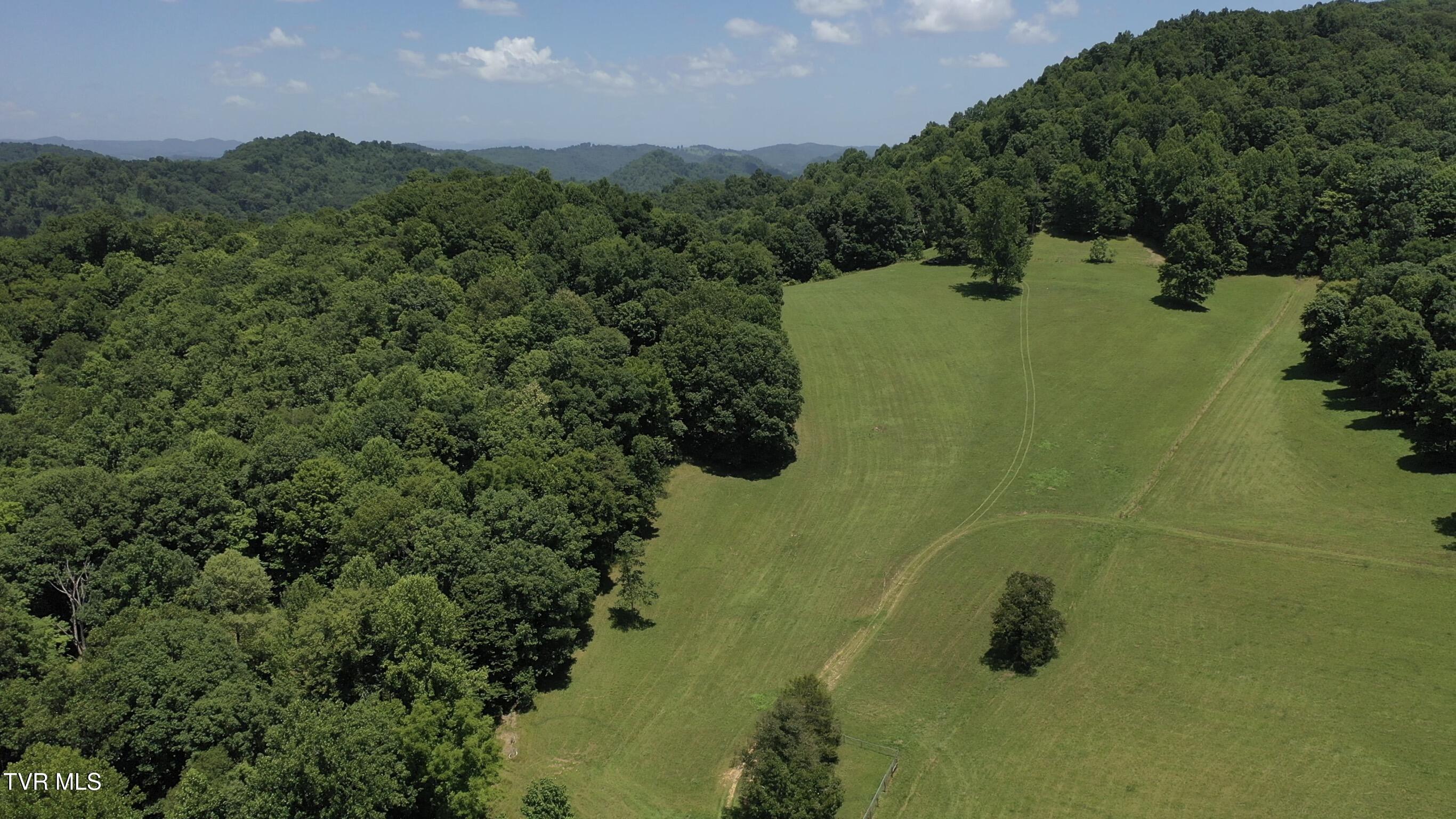 219 Ridge Road Eidson, TN 37731 - Photo 3 of 72 _Pic3 (6)