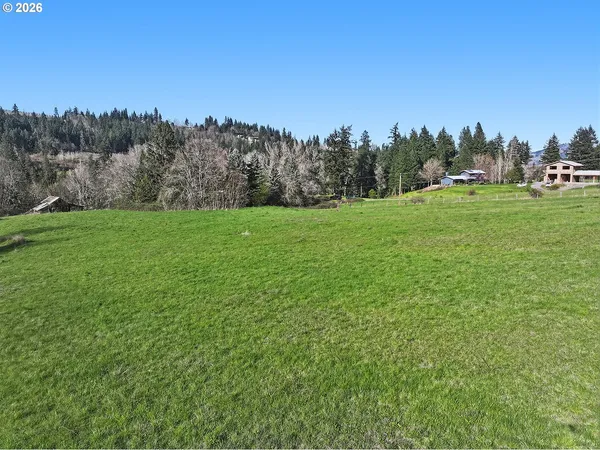 a view of a grassy field with trees in the background