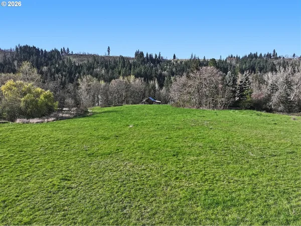a view of field with trees in the background