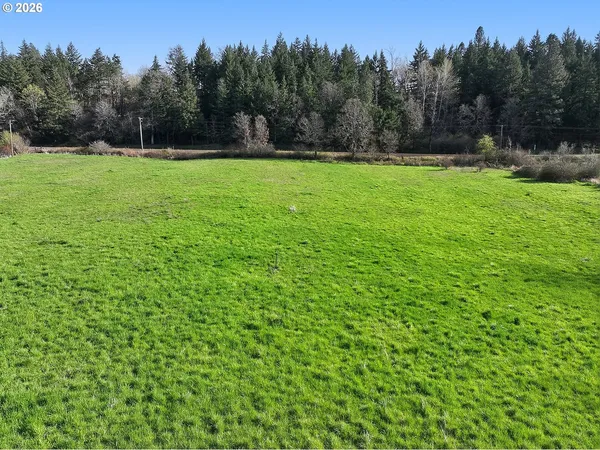 a view of a lush green hillside and houses
