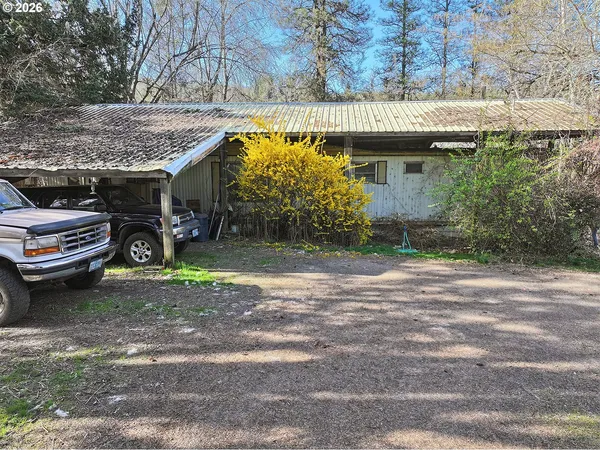a view of a backyard with a tree