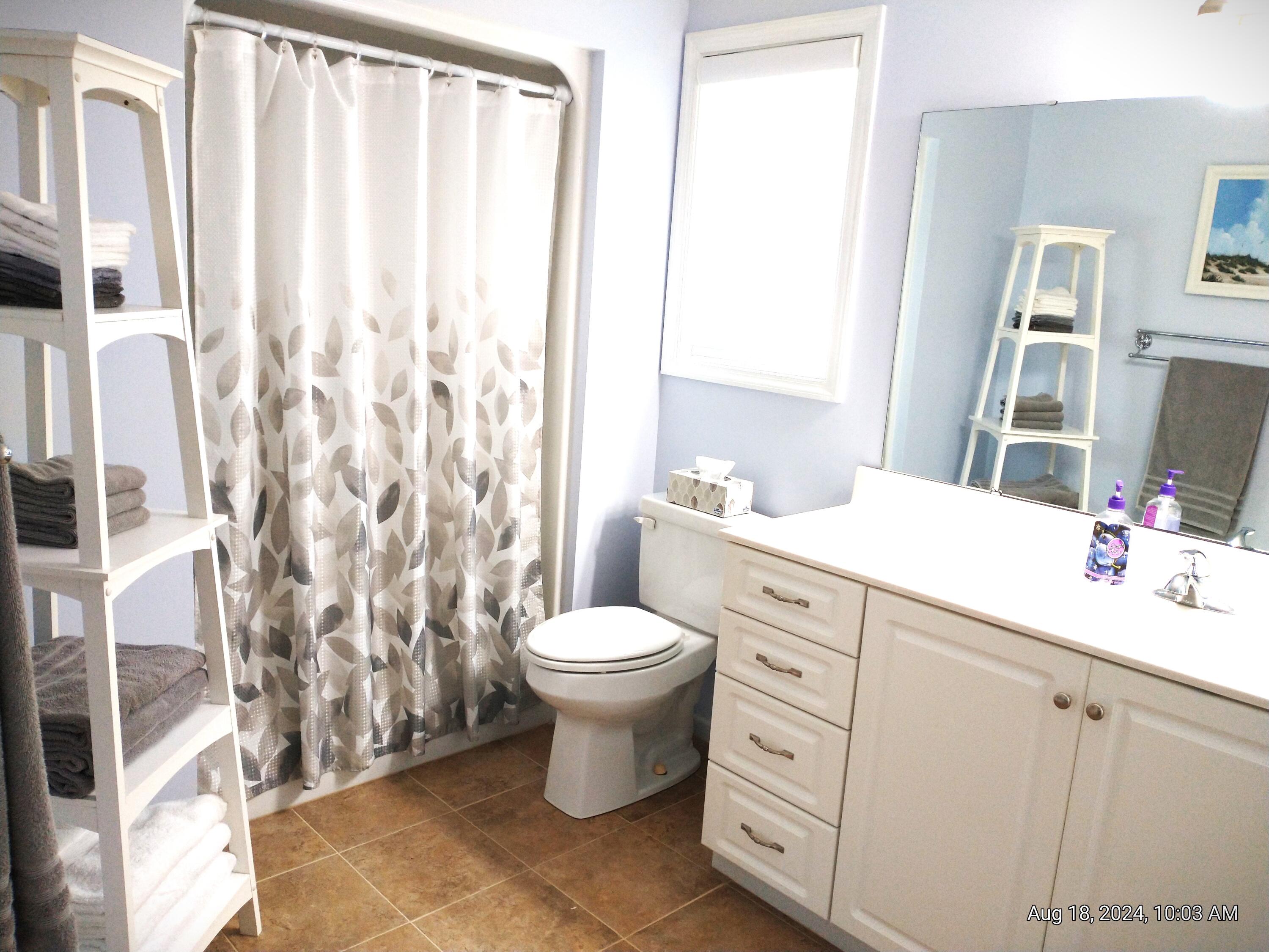 87 Ridge Lake Drive Manning, SC 29102 - Photo 36 of 47 Master bath2
