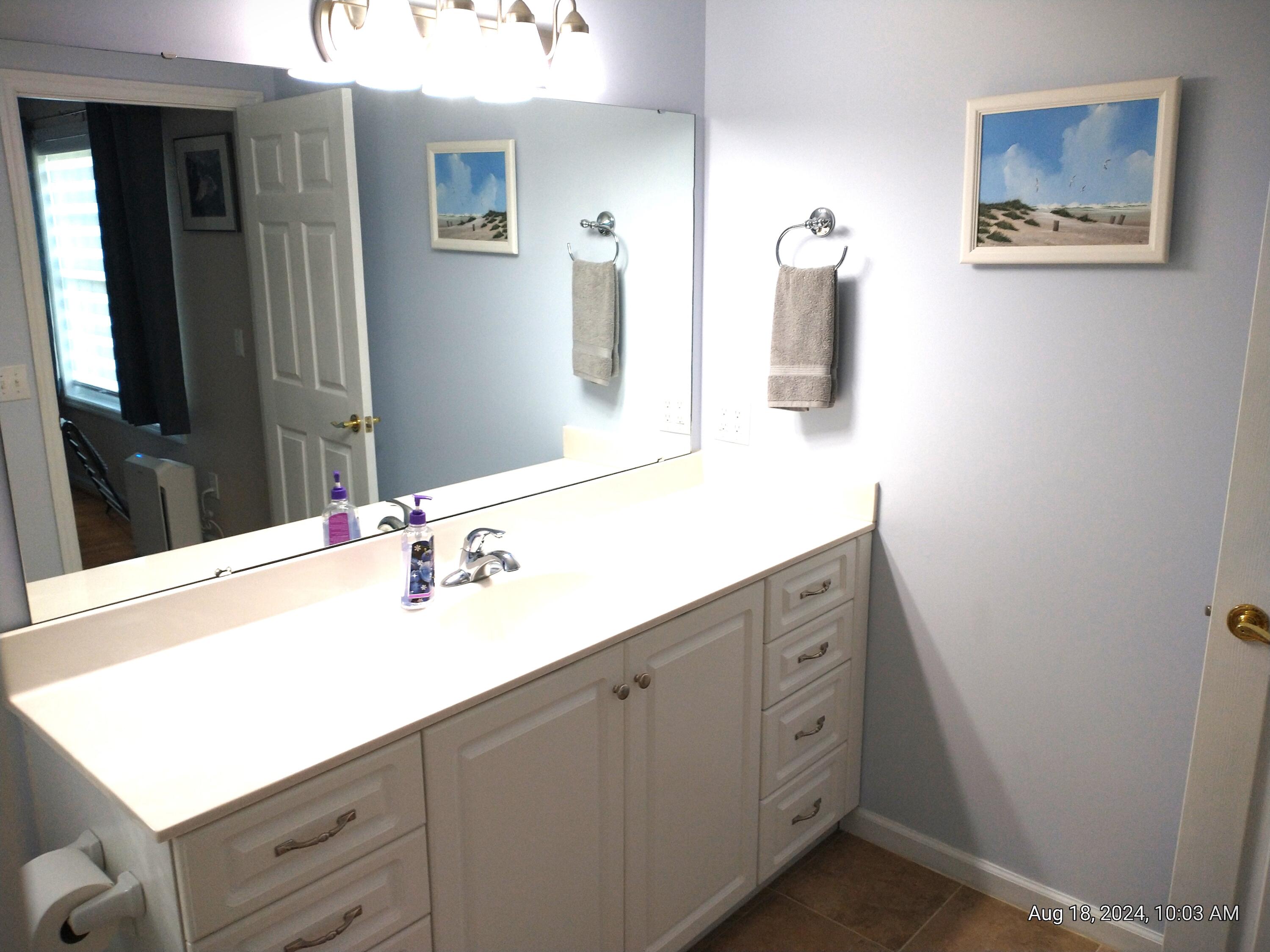 87 Ridge Lake Drive Manning, SC 29102 - Photo 37 of 47 Master bath