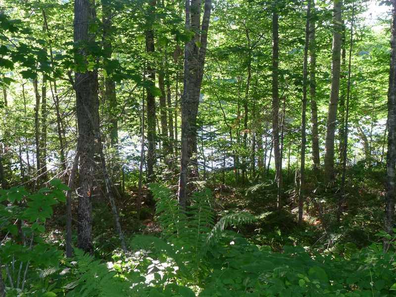 25 Luce Lane Hope, ME 04847 - Photo 3 of 5 Land/Lot.