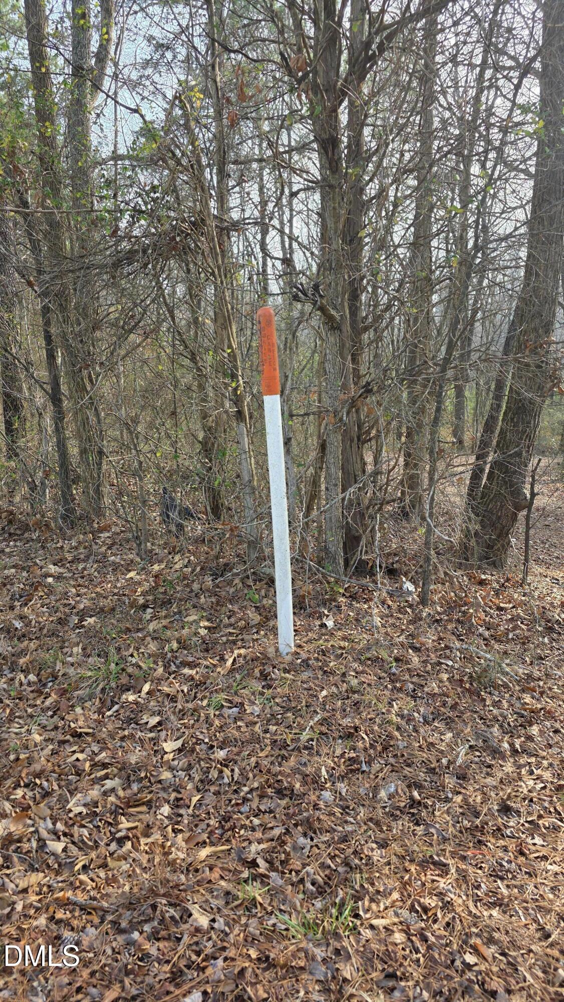 0 Gela Road Oxford, NC 27565 - Photo 7 of 7 a flag is sitting in the middle of forest