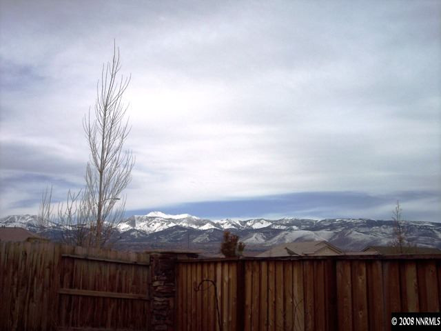 1687 Gemtown Drive Reno, NV 89521 - Photo 9 of 9 a view of a yard with wooden fence