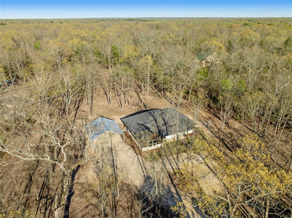 276 County Road Powderly, TX 75473 - Photo 1 of 1 Aerial view with a wooded view